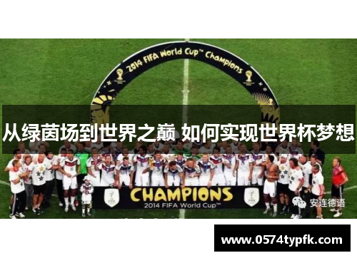 从绿茵场到世界之巅 如何实现世界杯梦想